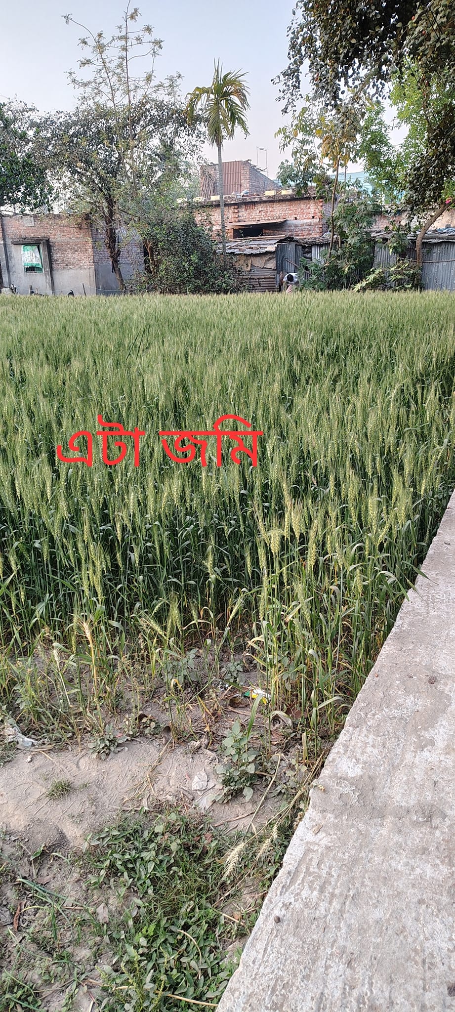 www.khojobd.com