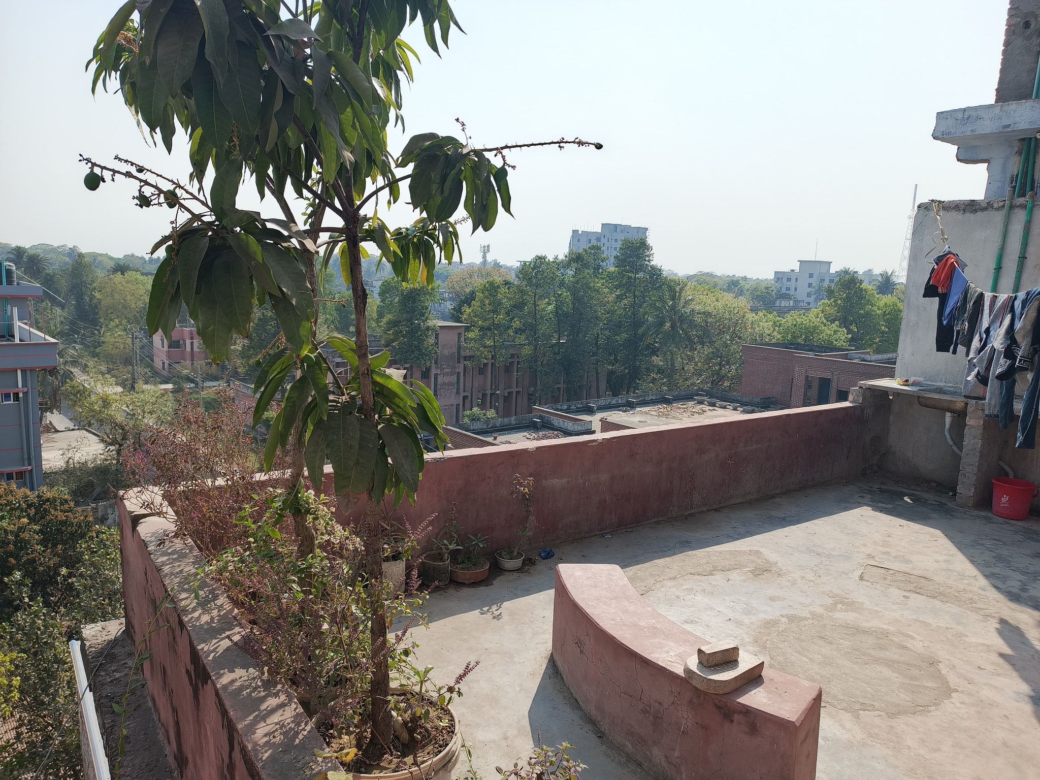www.khojobd.com